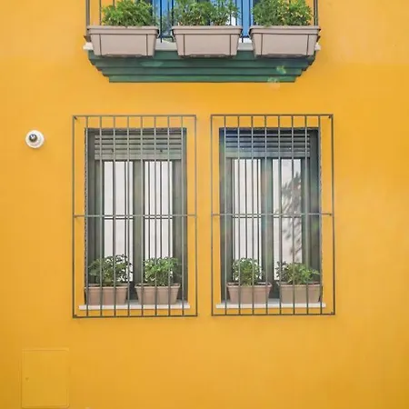 Apartment Wello *